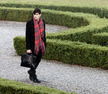 Photo of the Day | Afternoon Stroll