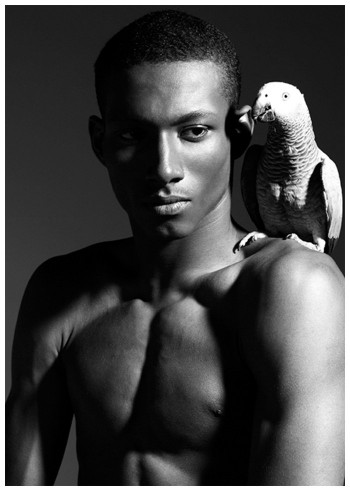 Genaro Perez by Steve Regento in Dalliance of Birds Genaro Perez by Steve Regento in Dalliance of Birds