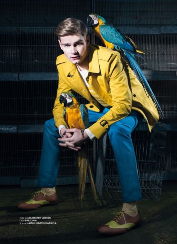Ralf Javoiss Makes Nice with Parrots for Italian Maxim