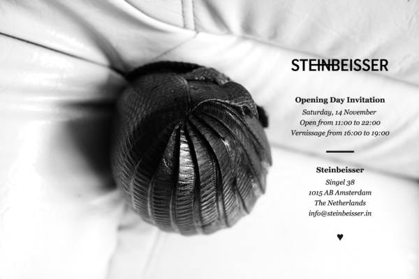 Invitation+Steinbeisser