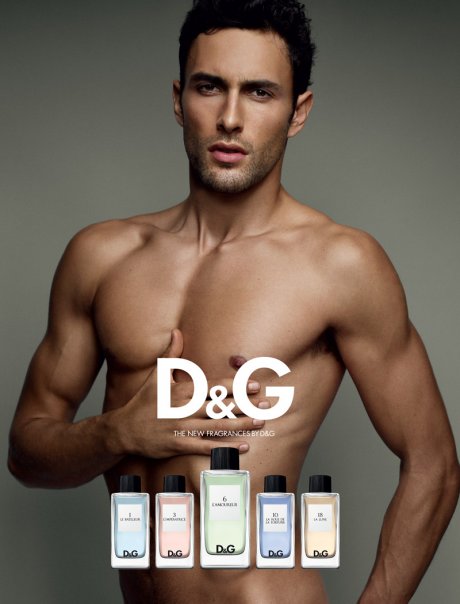 d&g anthology collection