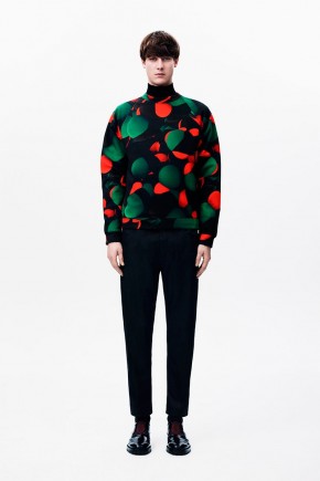 christopher kane fall winter 2014 look book 0017