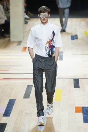 Dior Homme 2015 Spring/Summer Collection