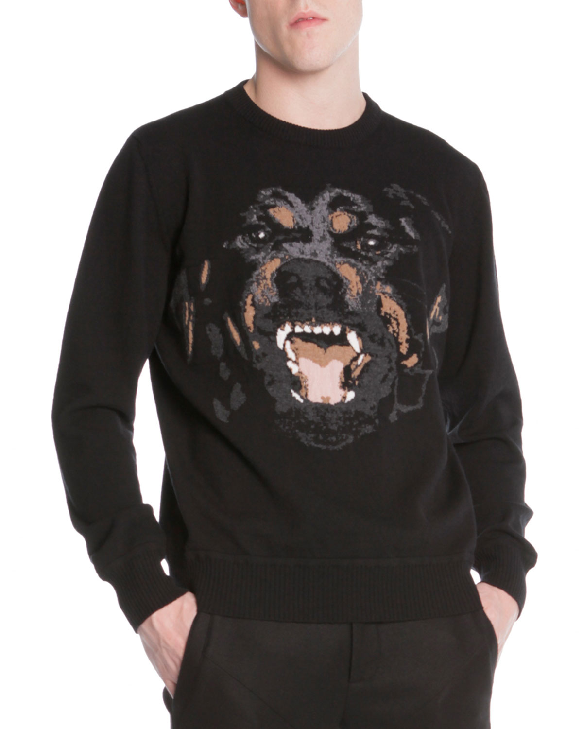 givenchy rottweiler sweater