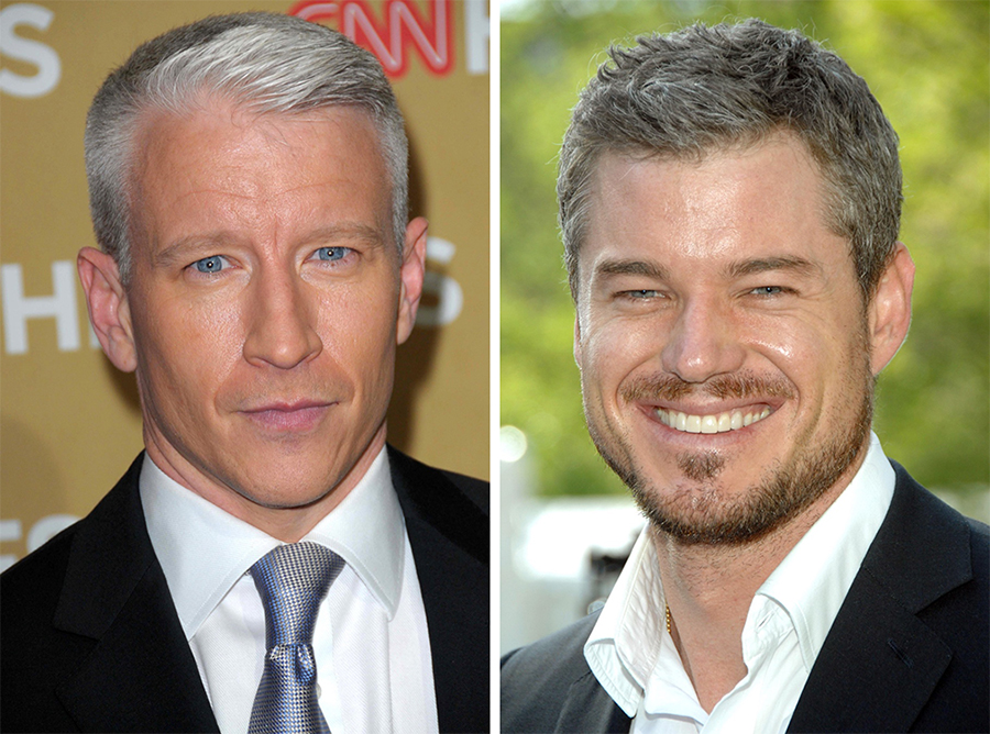 male actors with gray hair