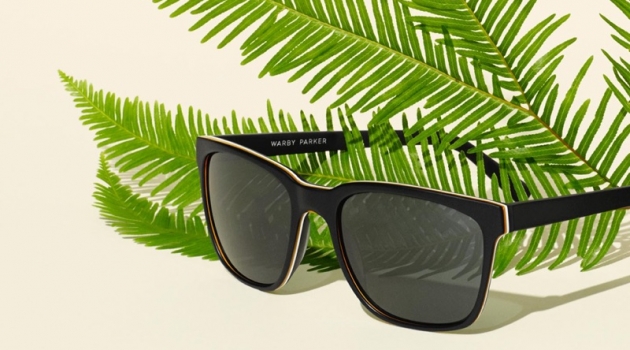 Warby Parker Barkley Sunglasses in Black Matte Eclipse