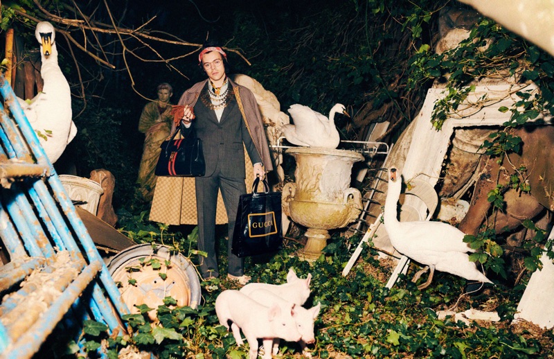 Harmony Korine photographs Harry Styles for Gucci's pre-fall 2019 tailoring campaign.