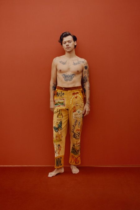 Harry Styles 2020 Vogue Cover Photoshoot 