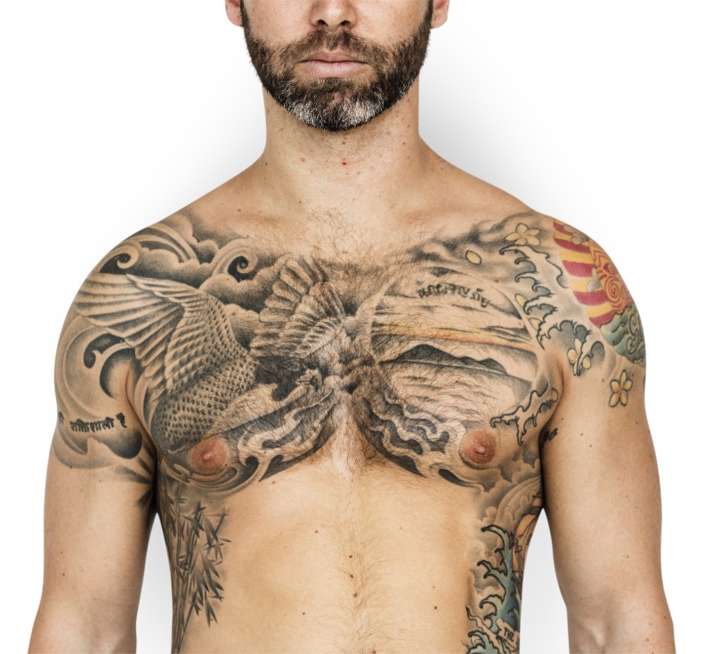 Brahma chest panel by me Logan Bramlett Bespoke Tattoo Gallery Akron Ohio :  r/tattoos